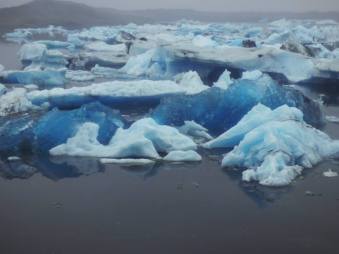 11755230_10204601072362037_9164256571299481222_n